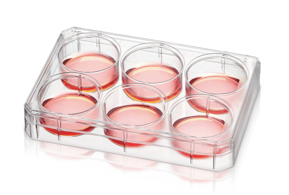 6 Well Plate 1 pack — Lab Cycle Partners
